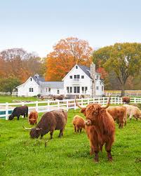 Farm\Home Supplies