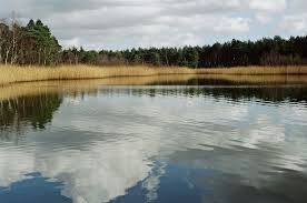 Pond Products