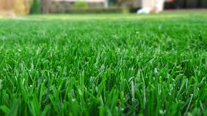 Lawn Products