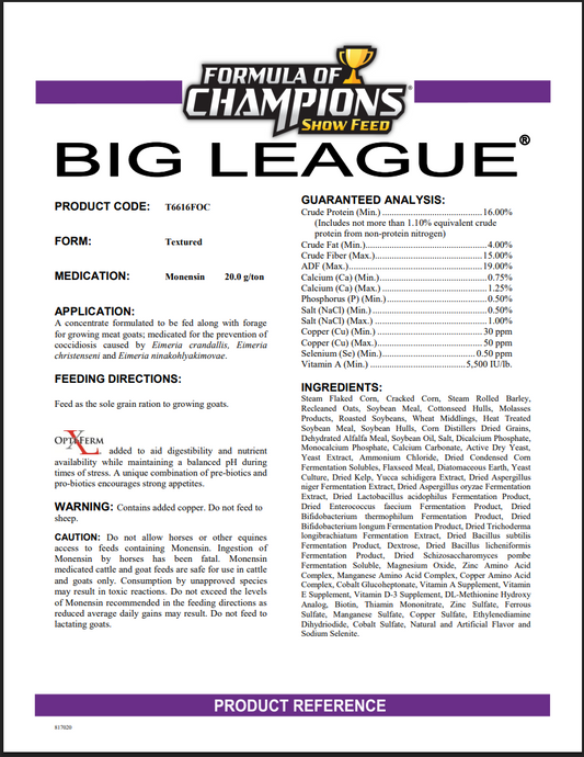 Formula of Champions Big League Game Plan