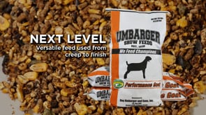 Umbarger Next Level Goat