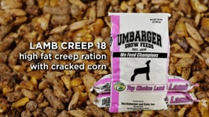 Umbarger Lamb Creep 18%