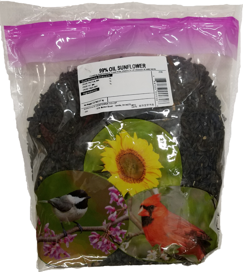 Black Oil Sunflower Seed