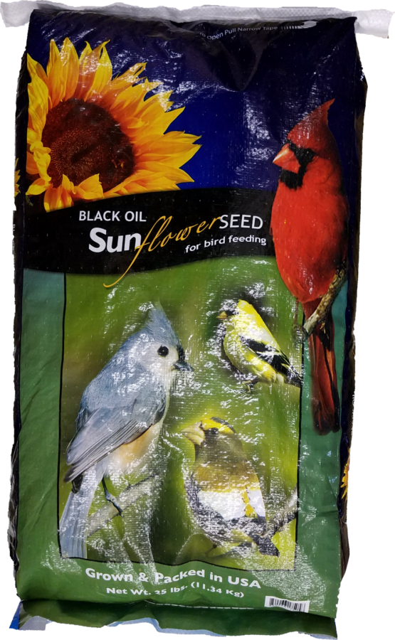 Black Oil Sunflower Seed