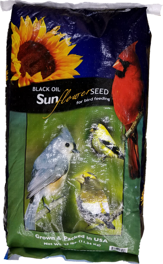 Black Oil Sunflower Seed
