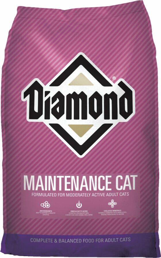 Diamond Cat Maintenance - Main Image