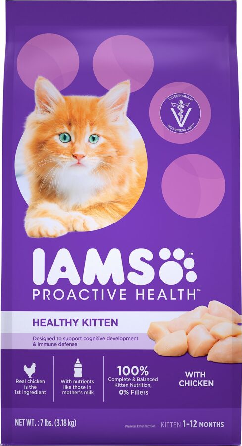 IAMS Healthy Kitten