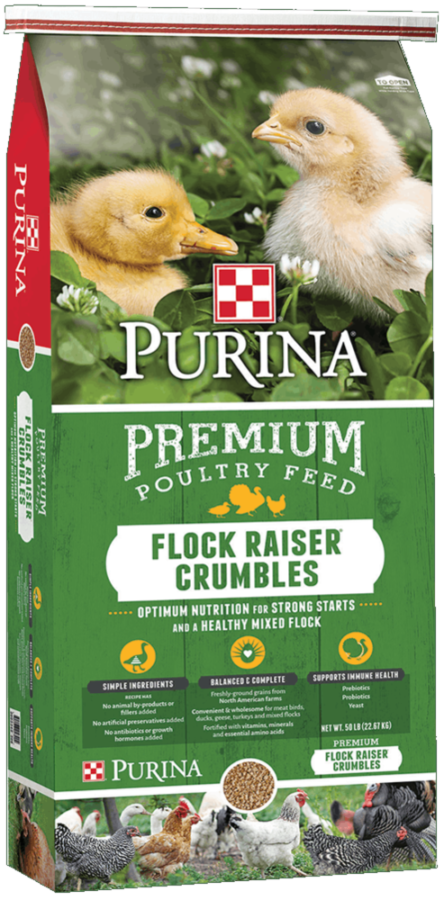 Purina Flock Raiser Crumbles 50 lb