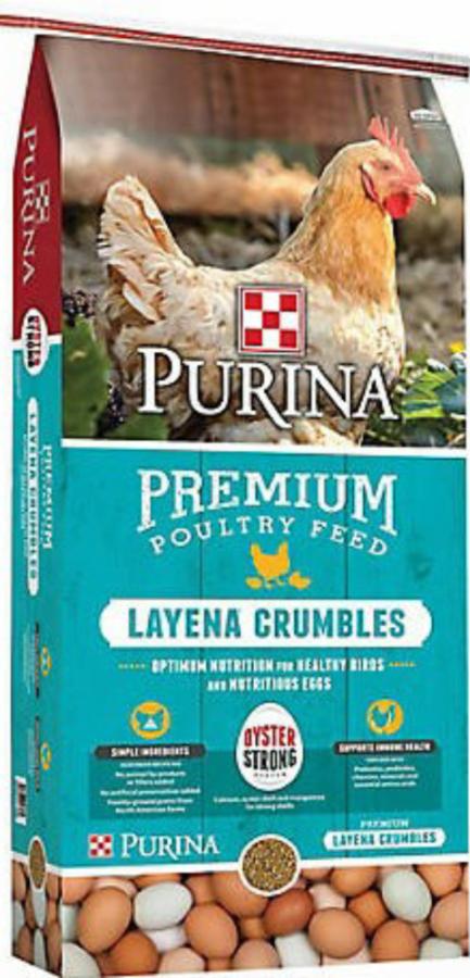 Purina Layena + High Protein Layer Chicken Feed (40 pound)