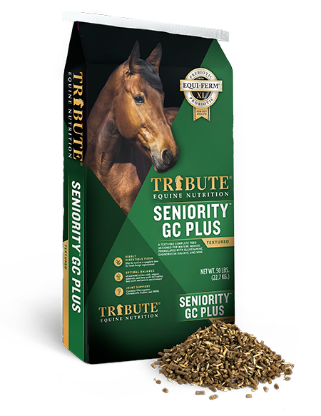 Tribute Seniority GC Plus Textured - 50 lb