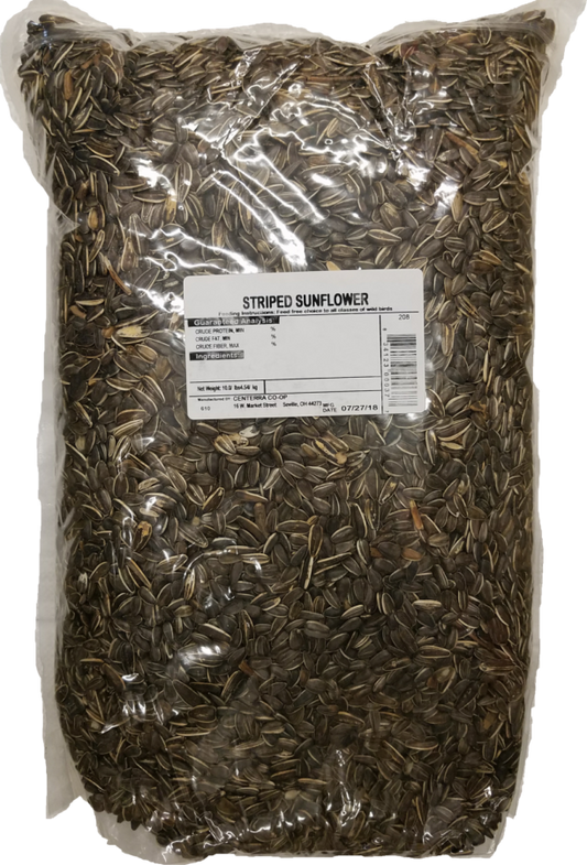 Striped Sunflower Seed