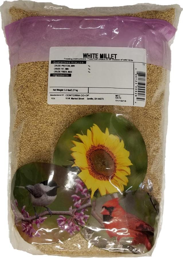 White Millet