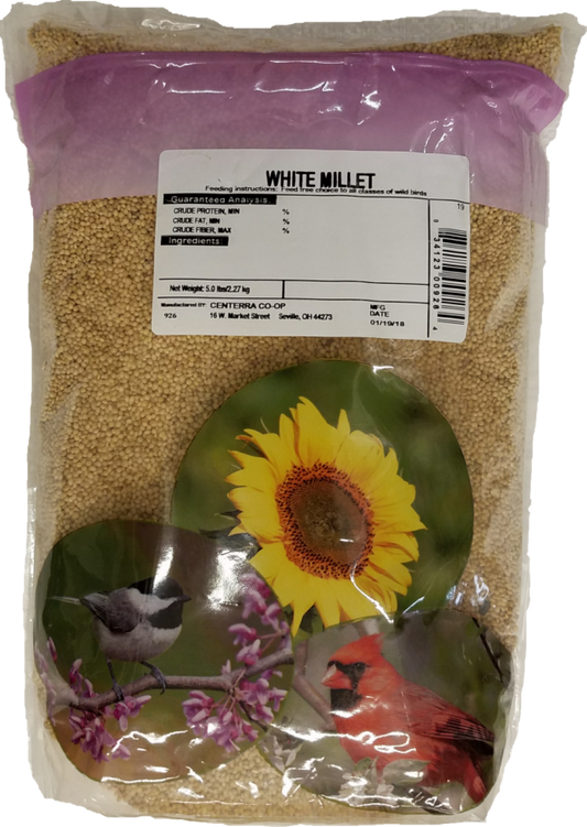 White Millet