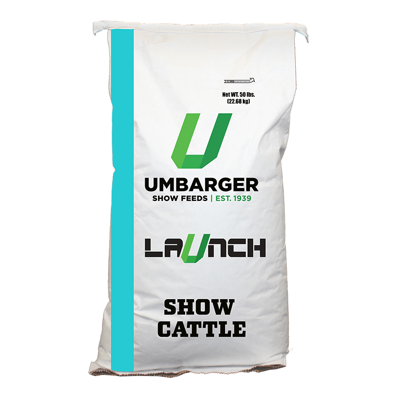 Umbarger Launch