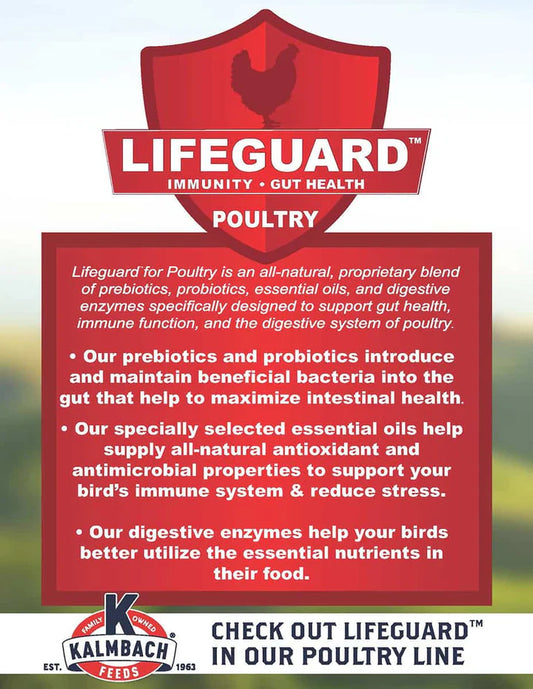 16% Flock Maintainer Mini Pellets