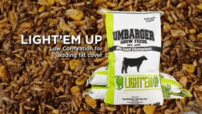 Umbarger Light 'Em Up