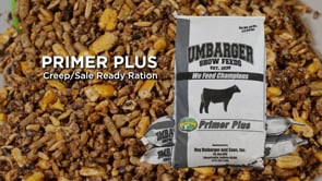 Umbarger Primer Plus