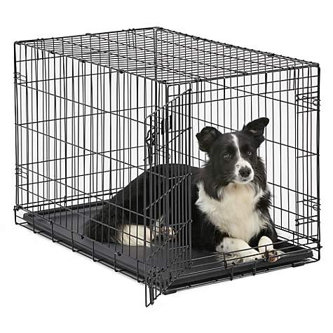 MidWest Single Door Dog Crate