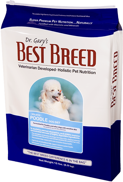 Best Breed Poodle Dog Diet
