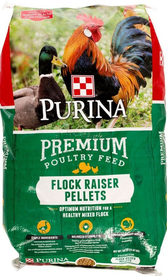 Purina Flock Raiser Pellets - 50 lb
