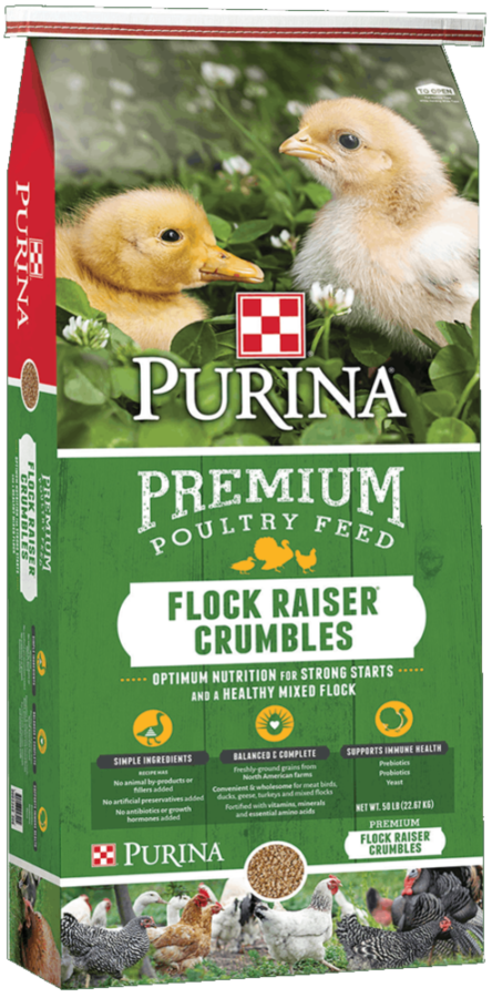 Purina Flock Raiser Crumbles - 50 lb