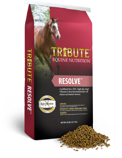 Tribute Resolve Textured - 50 lb – Legacy Lawn and Pet