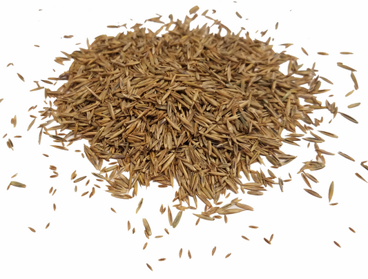 Shady Turf, Bulk Seed - Price listed per lb