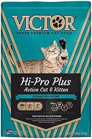 Victor Hi-Pro Plus Cat and Kitten
